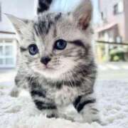 ヒメ日記 2025/04/09 23:50 投稿 すみれ Aroma Olive ～アロマオリーブ～