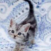 ヒメ日記 2025/04/28 15:50 投稿 すみれ Aroma Olive ～アロマオリーブ～