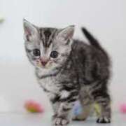 ヒメ日記 2025/05/22 18:30 投稿 すみれ Aroma Olive ～アロマオリーブ～