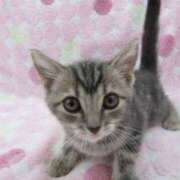 ヒメ日記 2025/06/26 14:00 投稿 すみれ Aroma Olive ～アロマオリーブ～