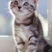 ヒメ日記 2025/08/11 12:20 投稿 すみれ Aroma Olive ～アロマオリーブ～