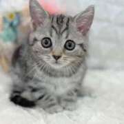 ヒメ日記 2025/10/12 14:20 投稿 すみれ Aroma Olive ～アロマオリーブ～