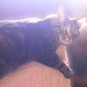 ヒメ日記 2025/06/11 18:54 投稿 なぎ(昭和47年生まれ) 熟年カップル名古屋～生電話からの営み～