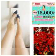 ヒメ日記 2025/12/18 19:44 投稿 なぎ(昭和47年生まれ) 熟年カップル名古屋～生電話からの営み～