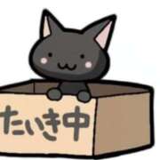 ヒメ日記 2026/02/05 13:42 投稿 なぎ(昭和47年生まれ) 熟年カップル名古屋～生電話からの営み～