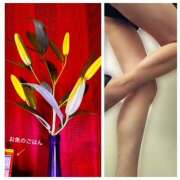 ヒメ日記 2026/02/19 10:24 投稿 なぎ(昭和47年生まれ) 熟年カップル名古屋～生電話からの営み～