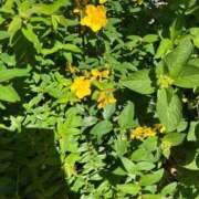 ヒメ日記 2025/05/28 10:26 投稿 ゆり 京都の痴女鉄道