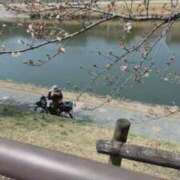 ヒメ日記 2026/03/27 11:46 投稿 ゆり 京都の痴女鉄道