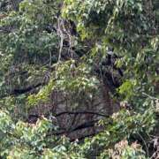 ヒメ日記 2026/04/01 16:16 投稿 ゆり 京都の痴女鉄道