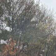 ヒメ日記 2026/04/01 16:33 投稿 ゆり 京都の痴女鉄道