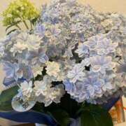 ヒメ日記 2025/06/22 21:49 投稿 いちか 梅田アバンチュール