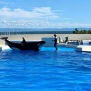 ヒメ日記 2025/09/05 17:05 投稿 いちか 梅田アバンチュール