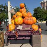 ヒメ日記 2025/09/22 16:34 投稿 いちか 梅田アバンチュール