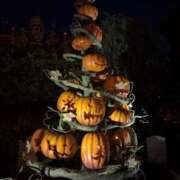 ヒメ日記 2025/09/28 21:07 投稿 いちか 梅田アバンチュール