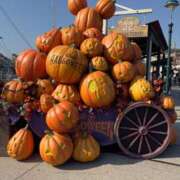 ヒメ日記 2025/10/20 12:17 投稿 いちか 梅田アバンチュール