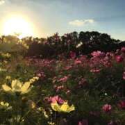 ヒメ日記 2025/10/21 09:50 投稿 いちか 梅田アバンチュール