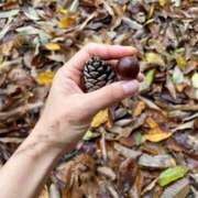 ヒメ日記 2025/09/29 12:25 投稿 ペルセポネ ナメすぎサークル立川店