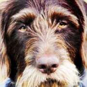 ヒメ日記 2025/10/19 01:40 投稿 ペルセポネ ナメすぎサークル立川店