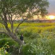 ヒメ日記 2025/11/23 23:43 投稿 ペルセポネ ナメすぎサークル立川店