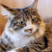 ヒメ日記 2026/02/15 18:41 投稿 ペルセポネ ナメすぎサークル立川店