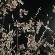 ヒメ日記 2026/03/02 20:21 投稿 ペルセポネ ナメすぎサークル立川店