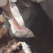 ヒメ日記 2025/03/29 13:01 投稿 菅井 はるな プルプルオフィスディーバ