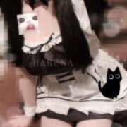 ヒメ日記 2025/10/31 11:36 投稿 菅井 はるな プルプルオフィスディーバ