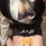 ヒメ日記 2025/11/08 11:14 投稿 菅井 はるな プルプルオフィスディーバ