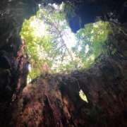 ヒメ日記 2026/03/28 00:46 投稿 なつ 多恋人倶楽部（山口）