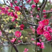 ヒメ日記 2026/04/28 16:35 投稿 なつ 多恋人倶楽部（山口）