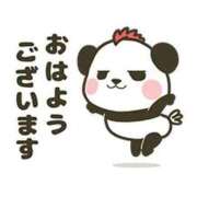 ヒメ日記 2026/03/17 10:21 投稿 しのぶ☆ 豊橋豊川ちゃんこ