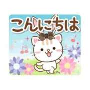 ヒメ日記 2026/03/19 17:40 投稿 しのぶ☆ 豊橋豊川ちゃんこ