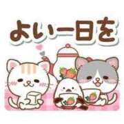 ヒメ日記 2026/03/23 10:42 投稿 しのぶ☆ 豊橋豊川ちゃんこ