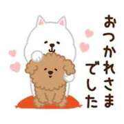 ヒメ日記 2026/03/28 19:02 投稿 しのぶ☆ 豊橋豊川ちゃんこ