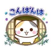 しのぶ☆ 💋今晩は、しのぶです〜💋 豊橋豊川ちゃんこ