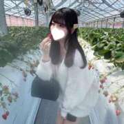 ヒメ日記 2025/04/28 12:52 投稿 ゆめ 俺のKissリフレ