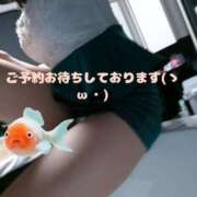 ヒメ日記 2024/12/17 22:01 投稿 石川けいこ ABC 岩手ソープ