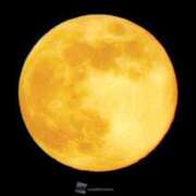 ヒメ日記 2025/01/14 21:46 投稿 石川けいこ ABC 岩手ソープ