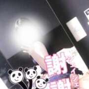 ヒメ日記 2025/06/05 11:01 投稿 石川けいこ ABC 岩手ソープ