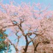 ヒメ日記 2026/04/13 05:01 投稿 石川けいこ ABC 岩手ソープ