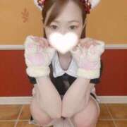 ヒメ日記 2025/04/21 12:43 投稿 こなつ（伝説の・・・変態娘！ ハニービー（Honey Bee）