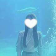 ヒメ日記 2025/09/12 12:43 投稿 こなつ（伝説の・・・変態娘！ ハニービー（Honey Bee）