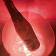 ヒメ日記 2025/02/28 00:59 投稿 きずな 新宿カルテ