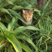 ヒメ日記 2025/02/10 13:46 投稿 霞沙羅咲 五十路マダムエクスプレス豊橋店（カサブランカグループ）