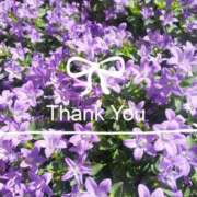 ヒメ日記 2025/04/18 14:05 投稿 霞沙羅咲 五十路マダムエクスプレス豊橋店（カサブランカグループ）