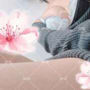 ヒメ日記 2026/03/29 12:29 投稿 中川かなで 月の真珠-五反田-