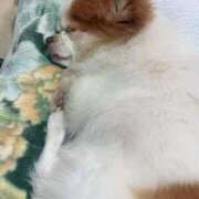 ヒメ日記 2024/12/27 18:06 投稿 カリナ 大宮ウィング