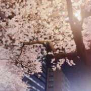 ヒメ日記 2025/03/02 18:05 投稿 カリナ 大宮ウィング