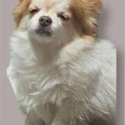 ヒメ日記 2025/03/18 12:25 投稿 カリナ 大宮ウィング