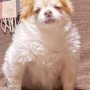 ヒメ日記 2025/04/03 18:25 投稿 カリナ 大宮ウィング